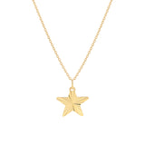Shiny Star, 14K Gold Necklace
