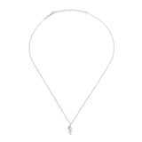 Seahorse, Sterling Silver Necklace